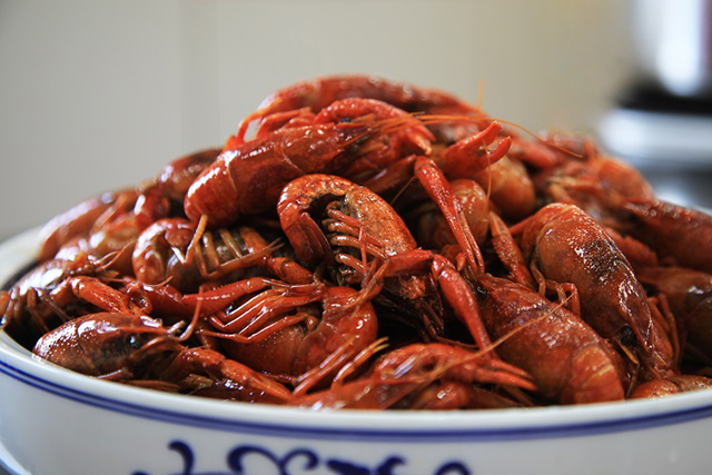 小成本创业适合学什么？