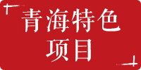 青海特色项目